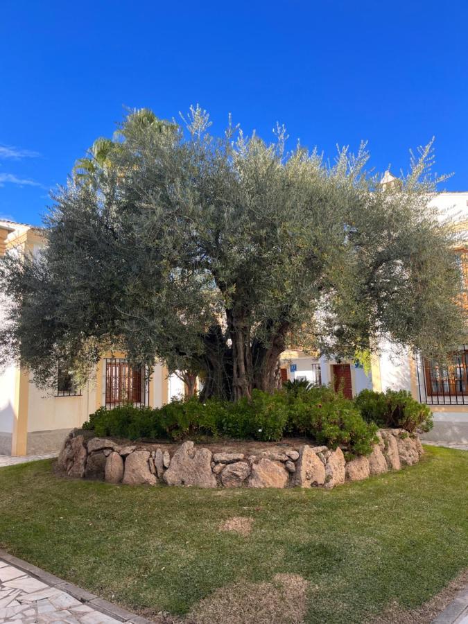 Apartamento Soleado Vera Costa, 200 M De La Playa Playas de Vera Exteriör bild
